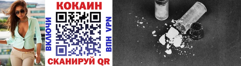 Купить  Дмитриев  COCAIN FishScale 