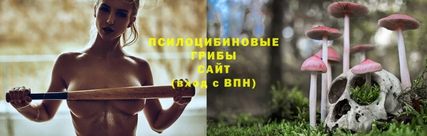 прущая мука Дмитриев