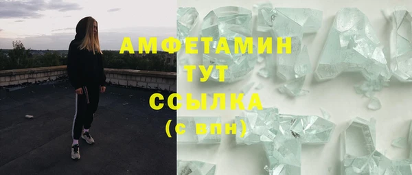 кокс Ельня