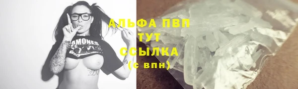 кокс Елизово