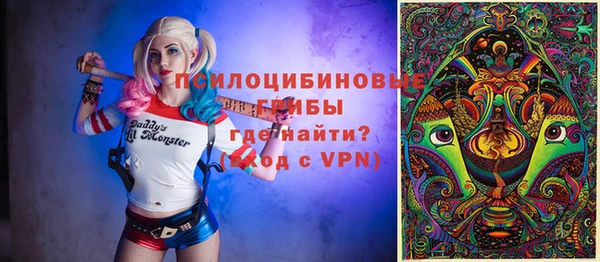 прущая мука Дмитриев