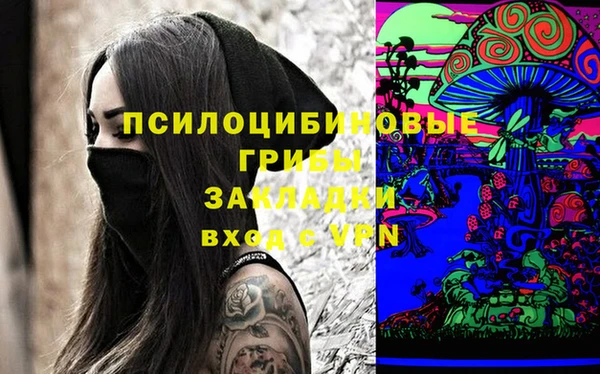 прущая мука Дмитриев