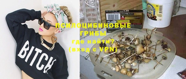 кокс Ельня