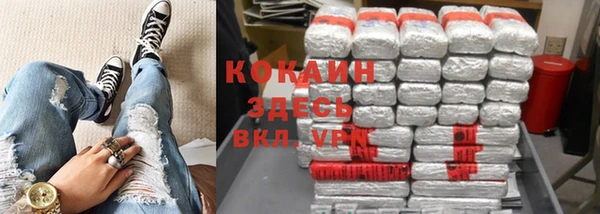 прущая мука Дмитриев