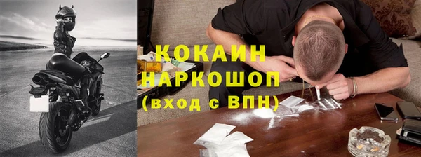 кокс Ельня